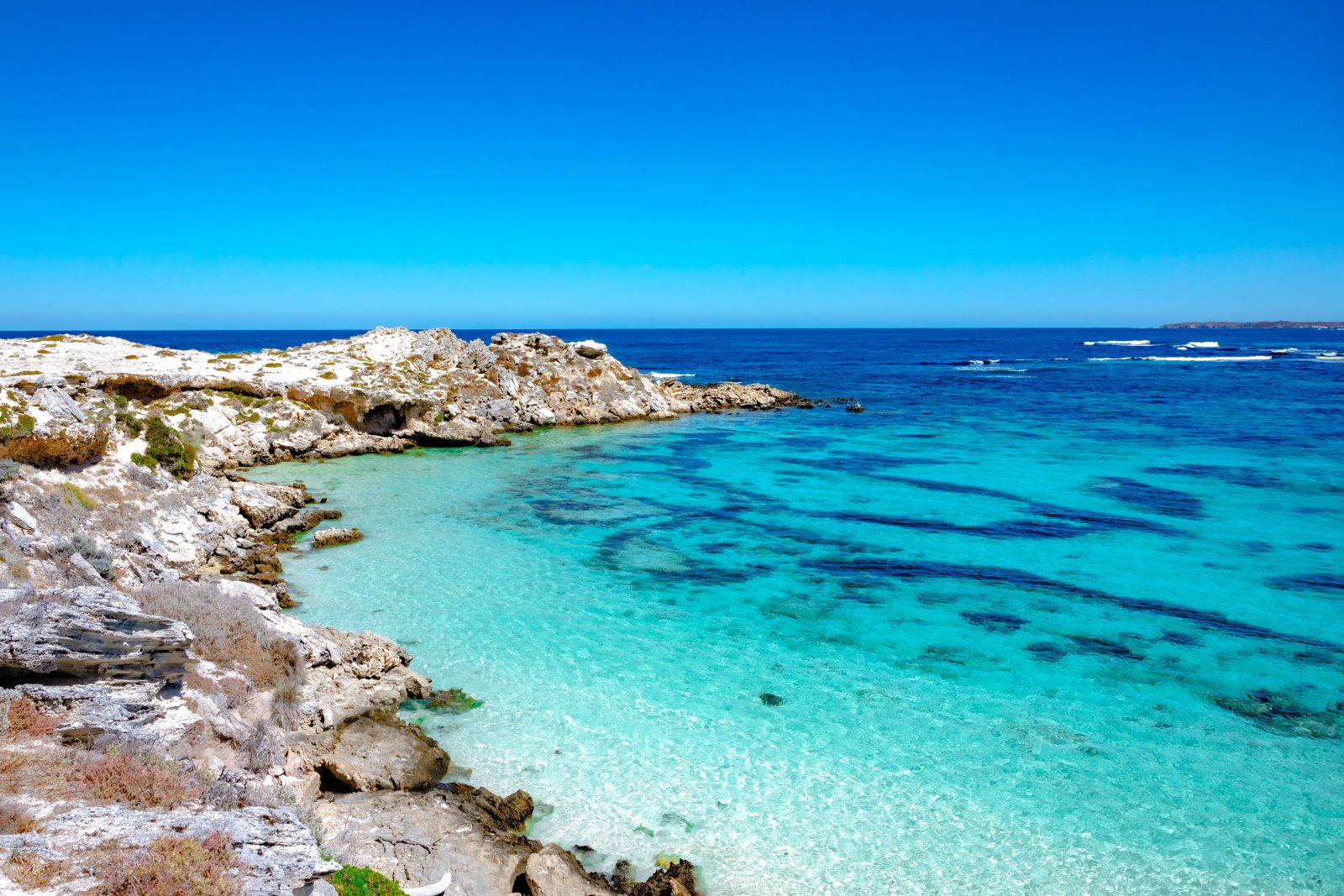 Salmon Bay