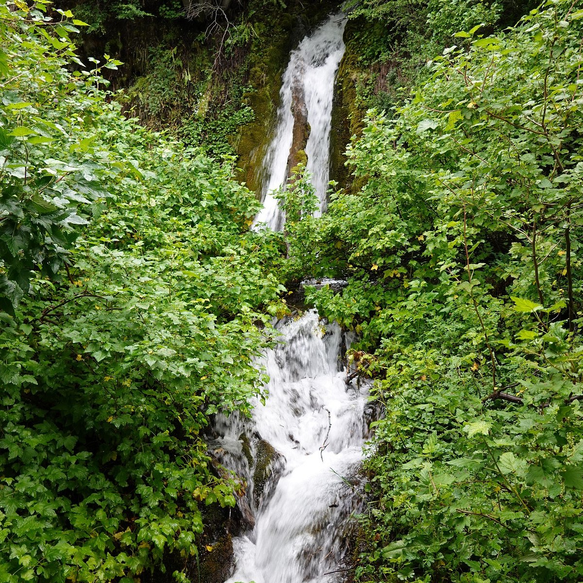 Macarena Waterfall Station