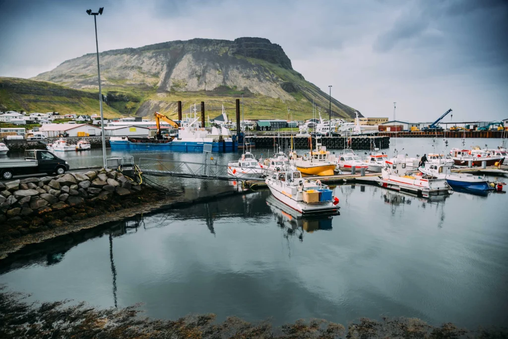 Olafsvik vs Reykjavik Whale Watching