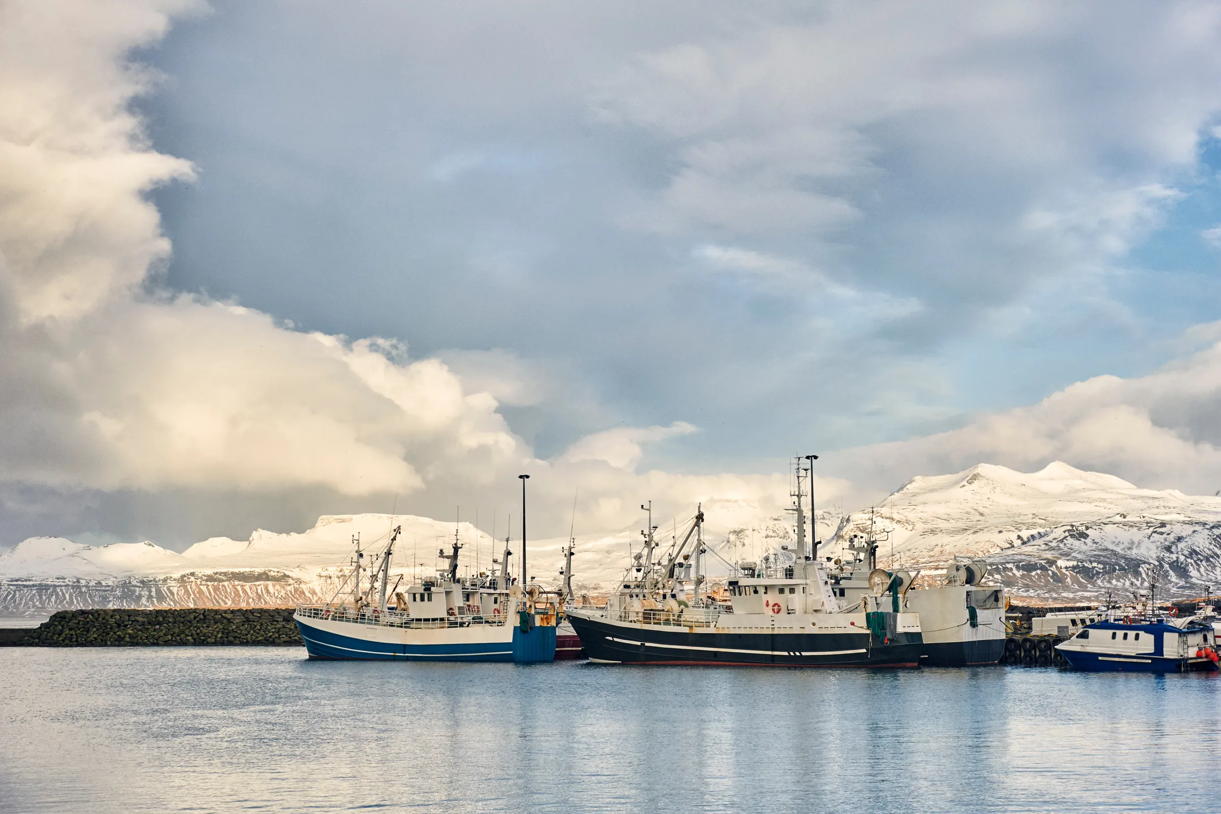 Wann und wo man in Ólafsvík Wale beobachten kann