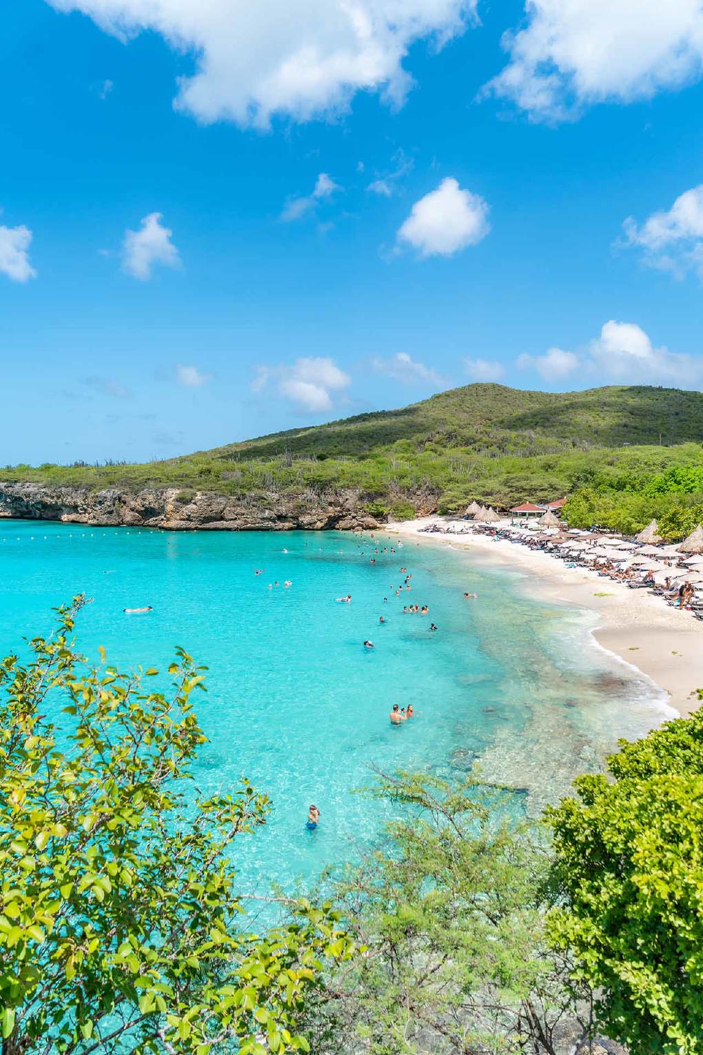 Grote Knip