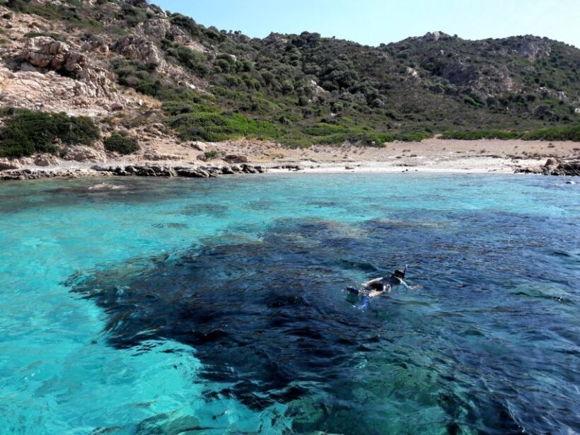 Snorkeling Rules