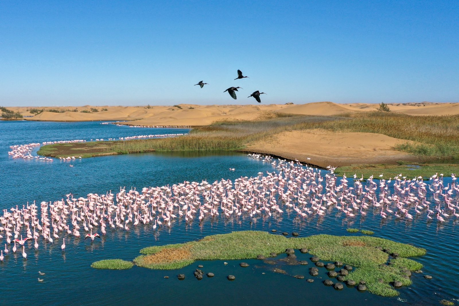 Walvis Bay Lagoon