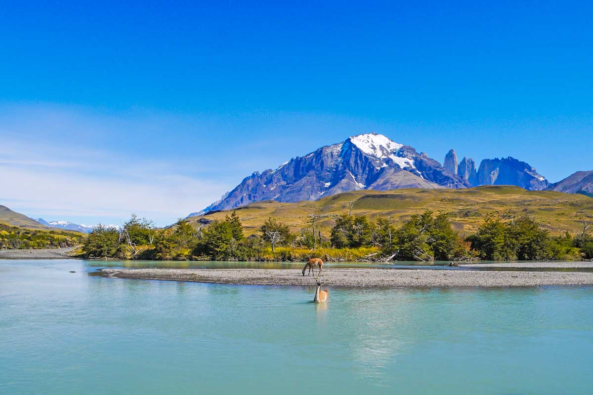How to Get From El Calafate to Torres Del Paine