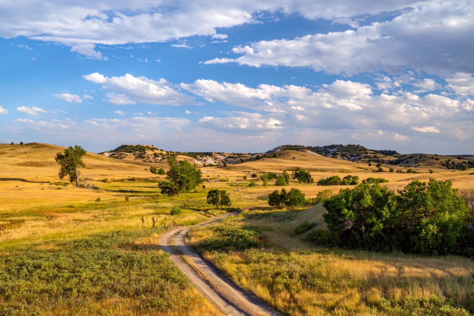Buffalo Gap National Grassland