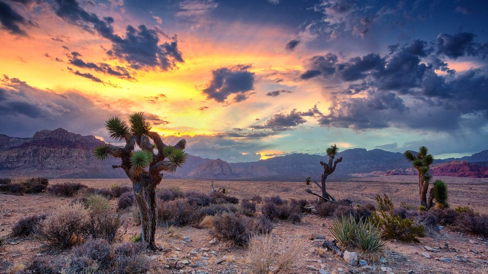 Desert Basin