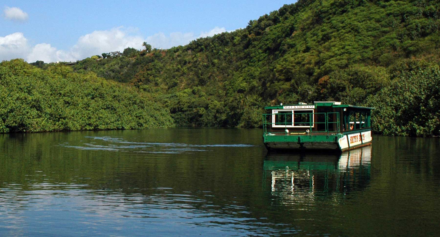 Waimea Canyon Wailua River Tour