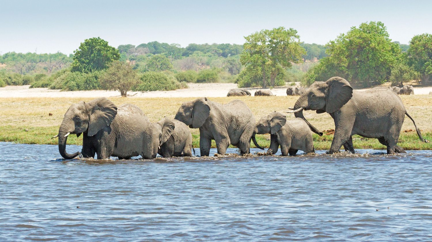 Chobe Riverfront