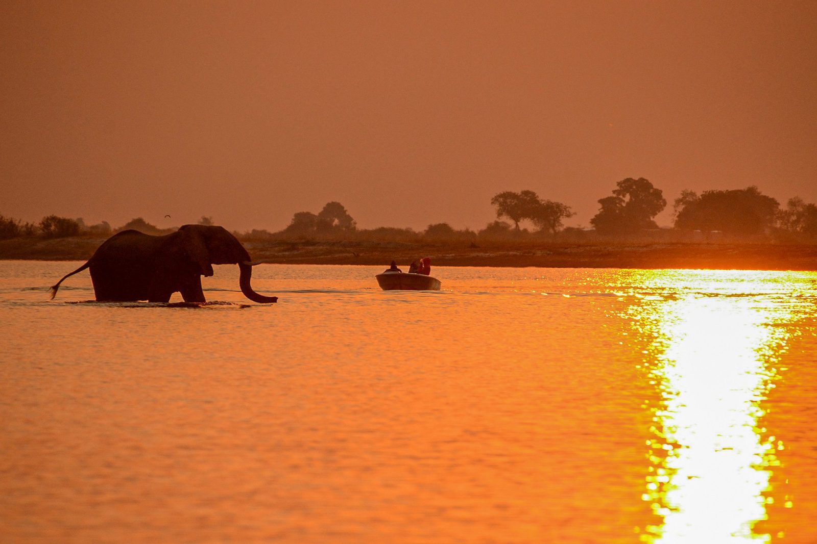 Sedudu Island River Bank
