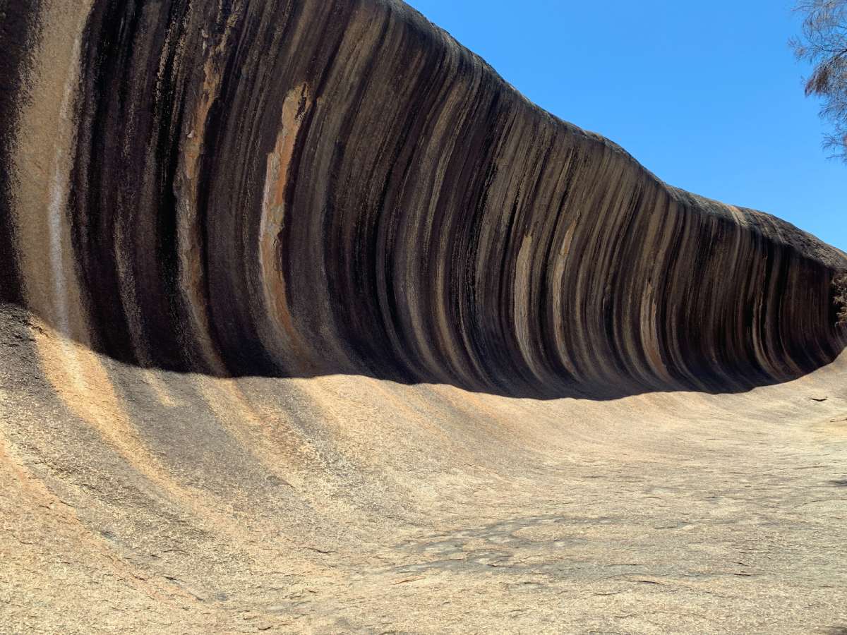 The Wave Face