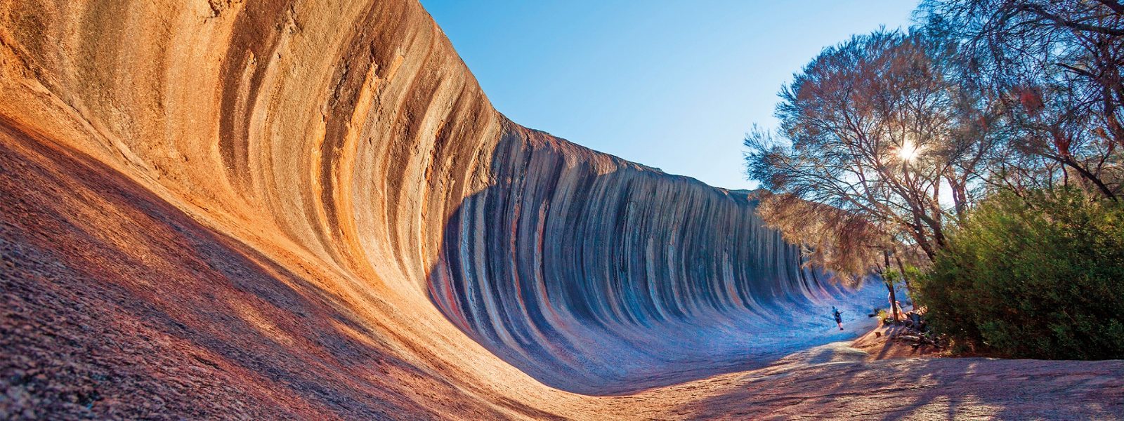 Wave Rock Tours From Perth
