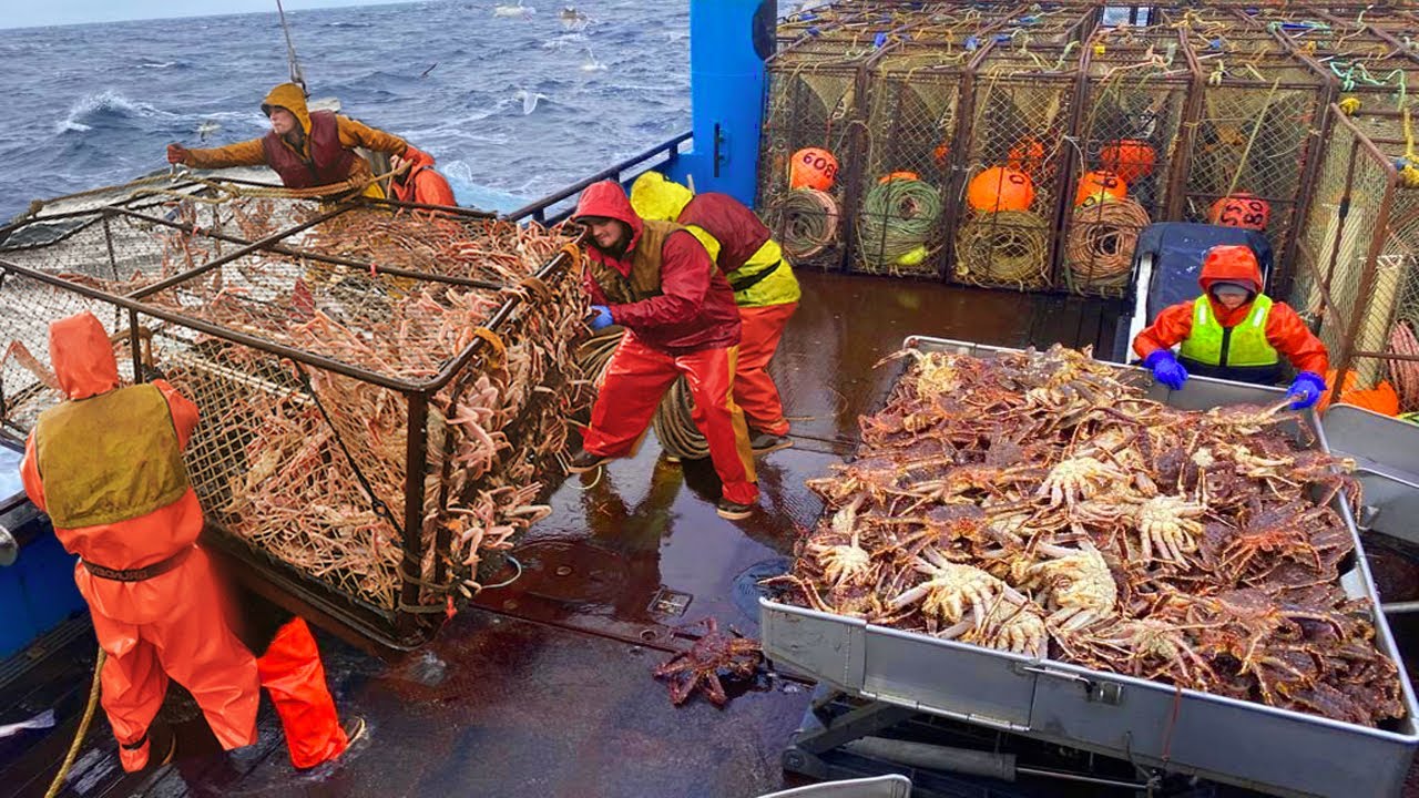Crab Tour Ushuaia