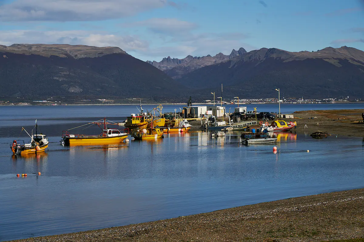 Beagle Channel Shoreline