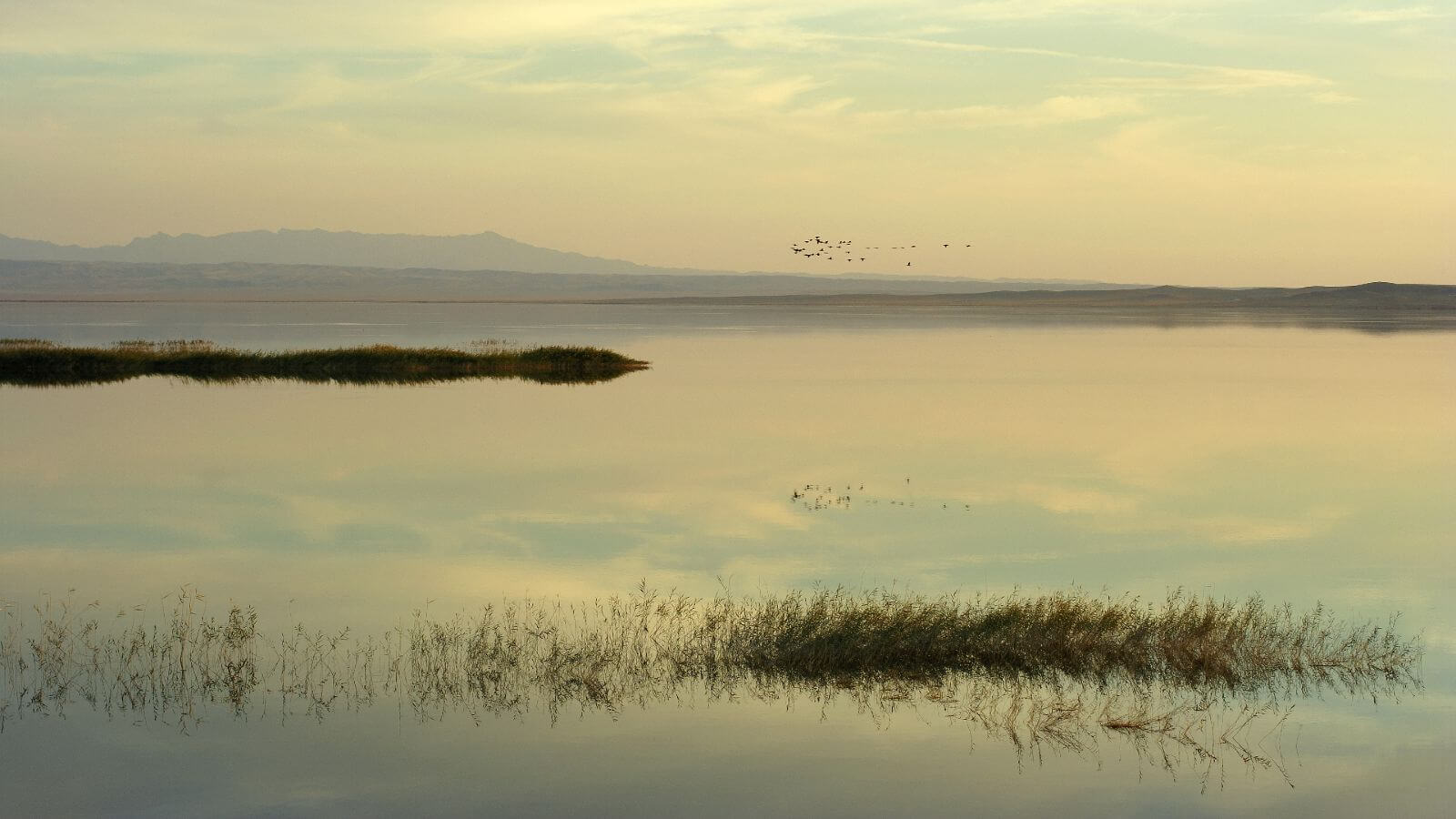 Lake Shore Reflection