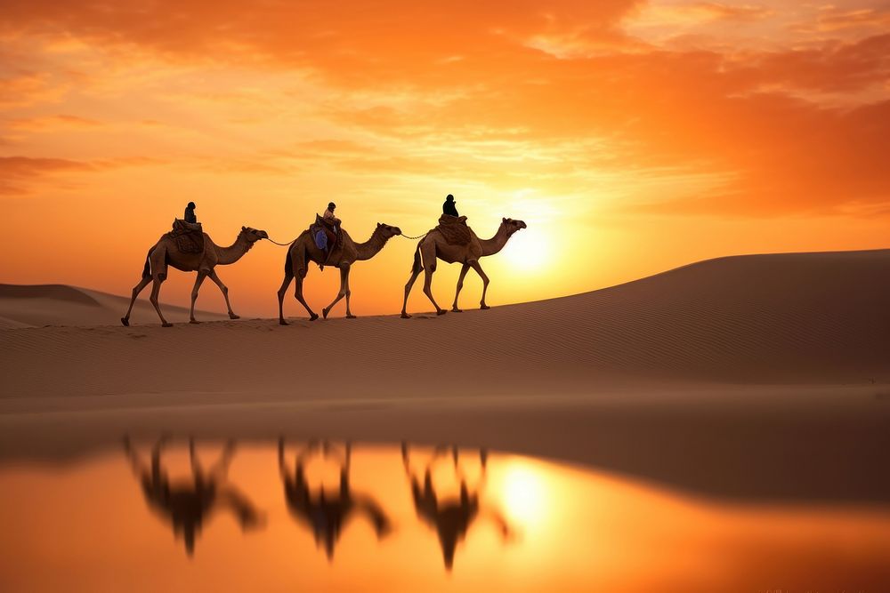 Camel Silhouette Dunes