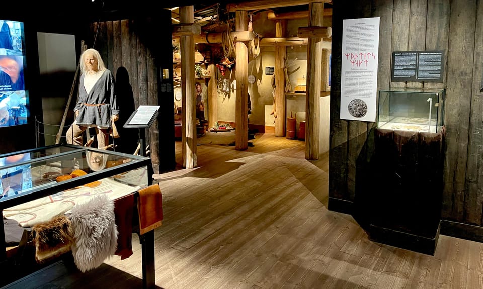Viking DNA Figure
