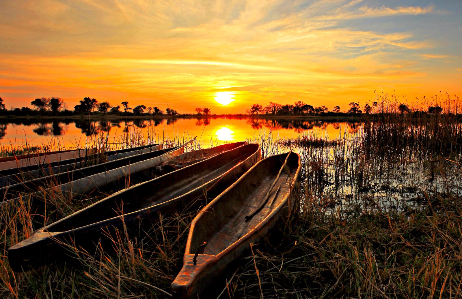 Okavango Delta Floodplains