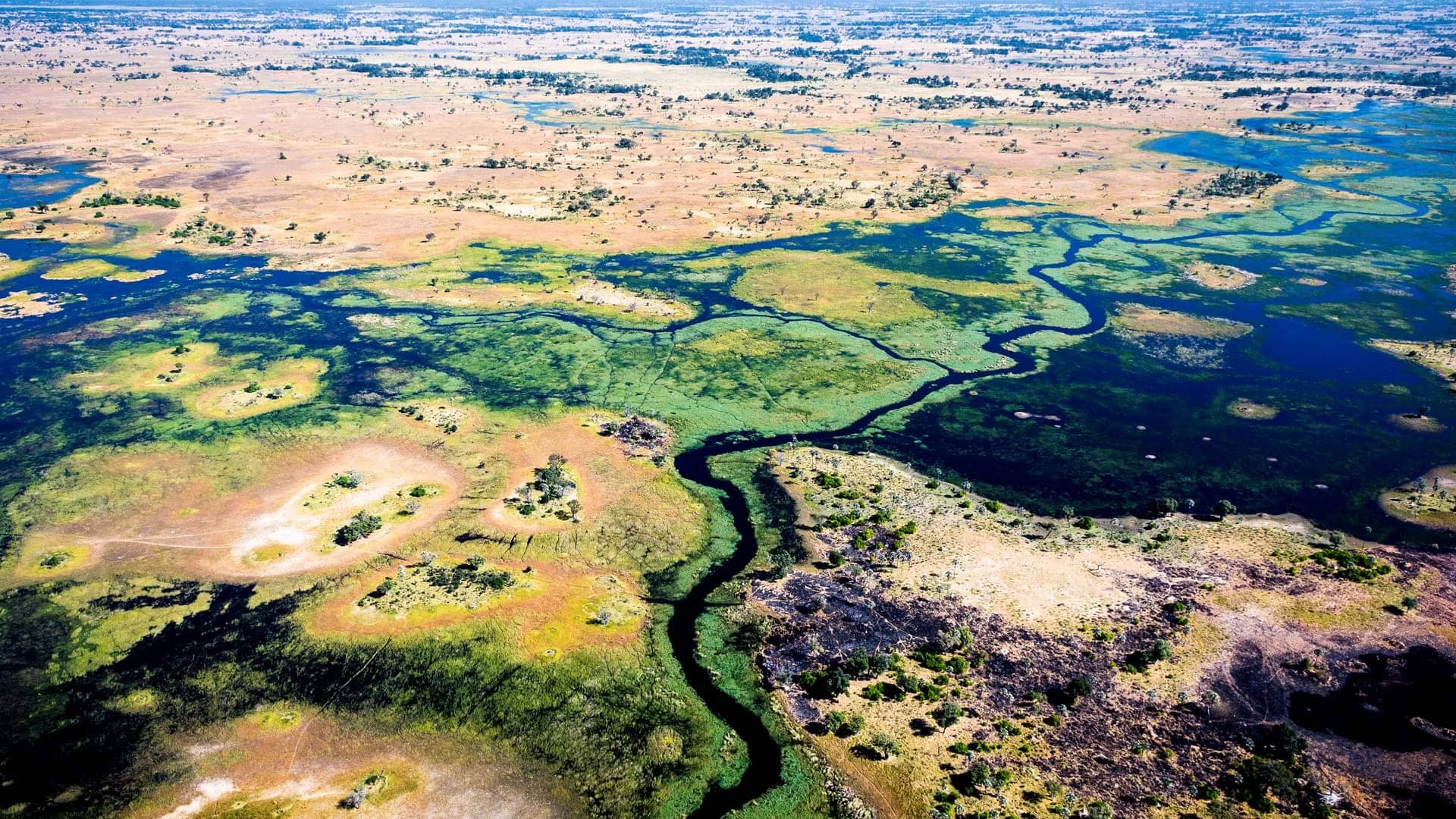 Chiefs Island