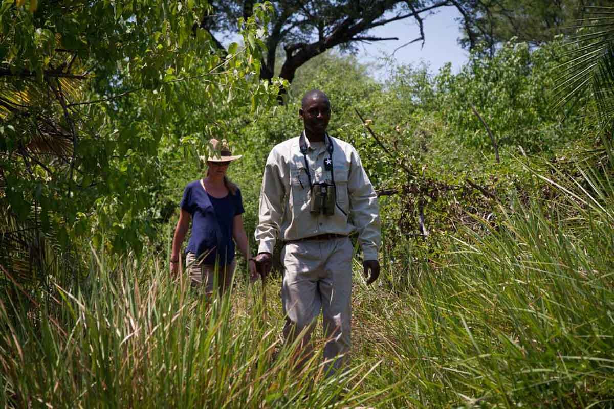 Island Walk