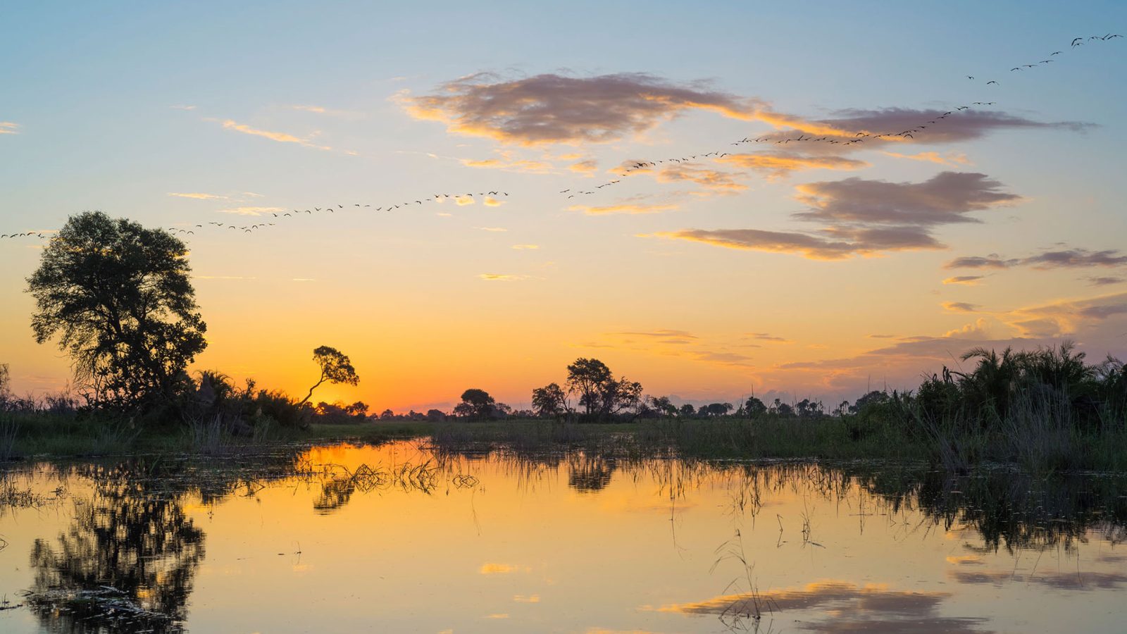 Floodplain Sunrise Vantage