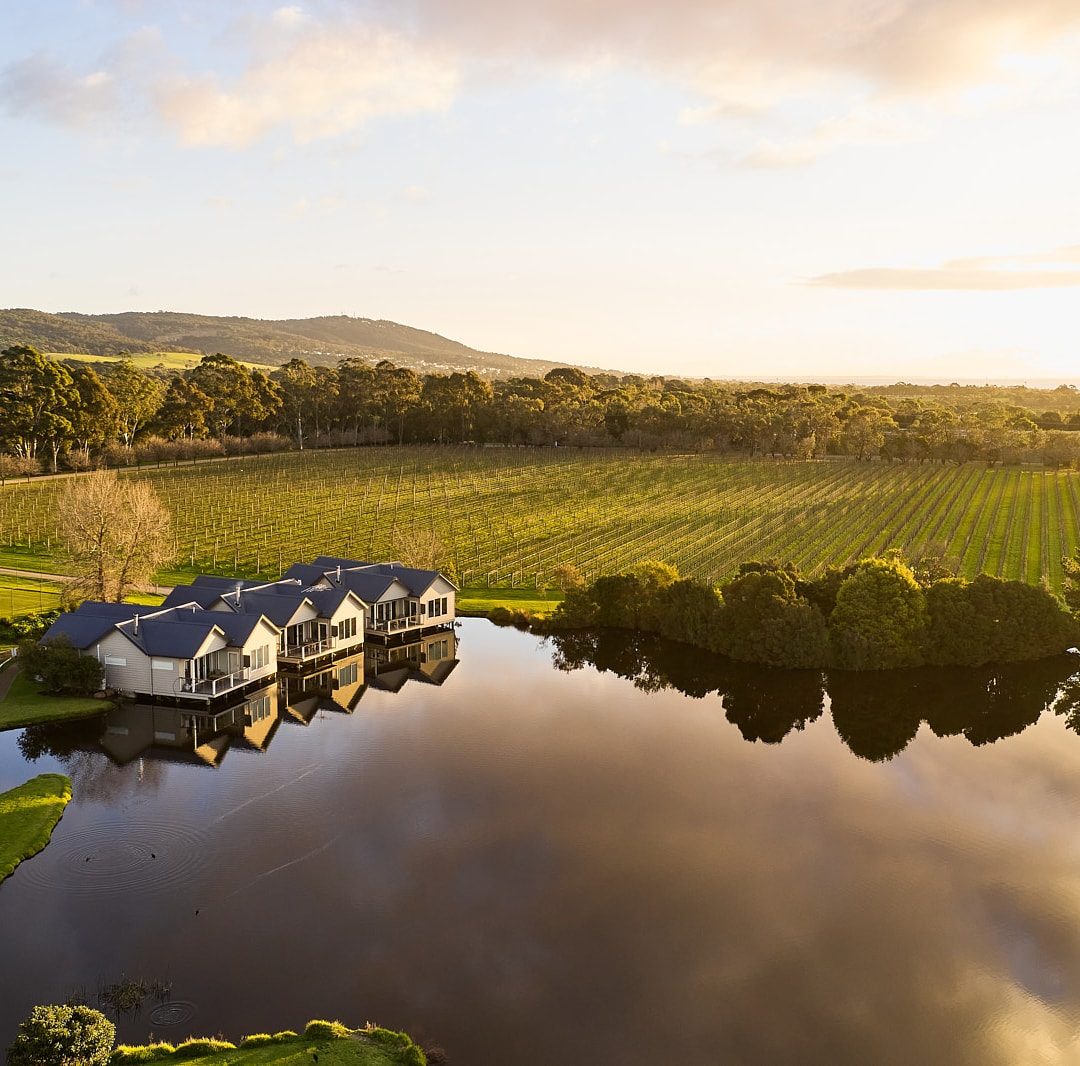 Dromana Estate Vineyard