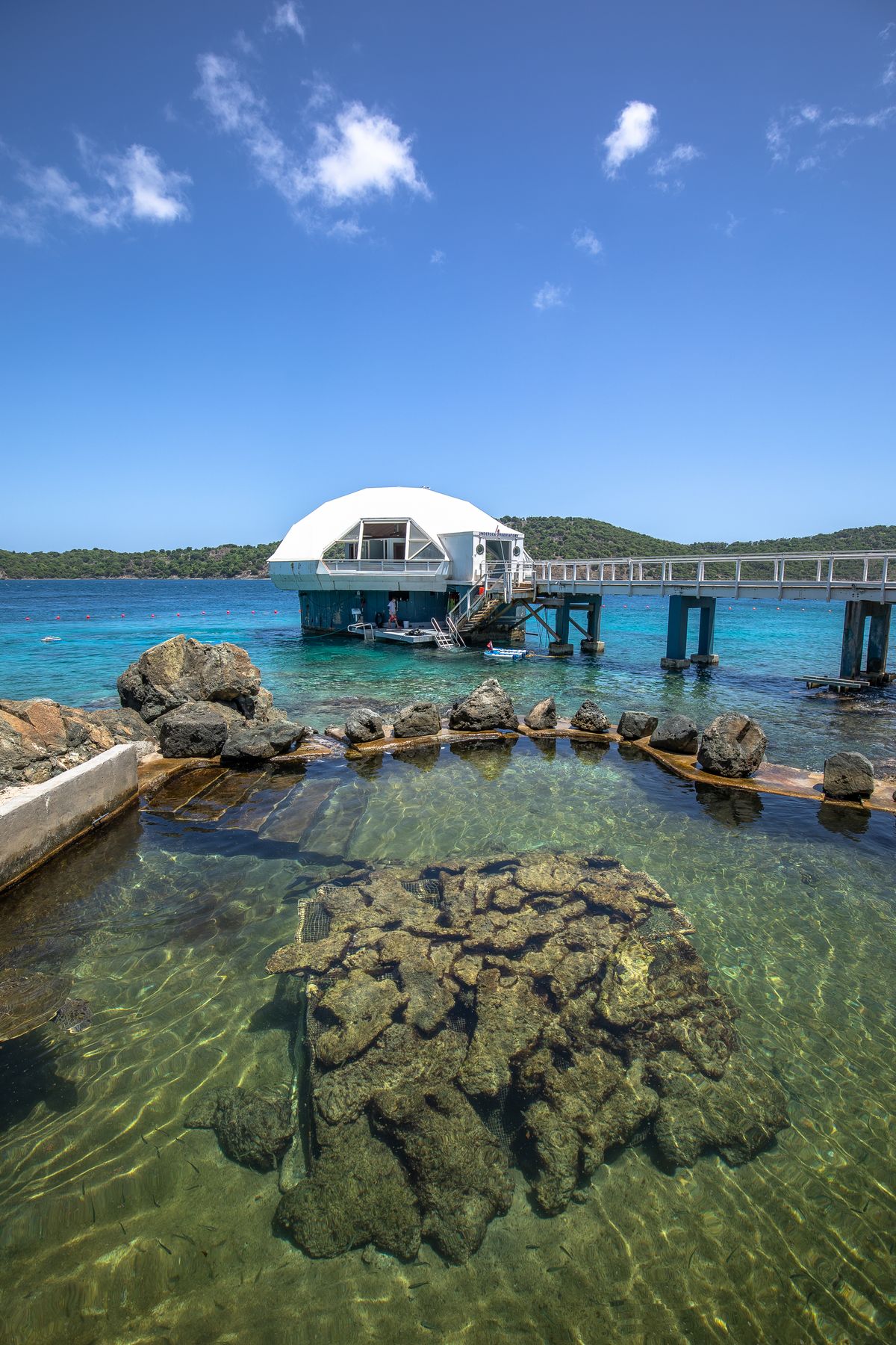 Undersea Observatory
