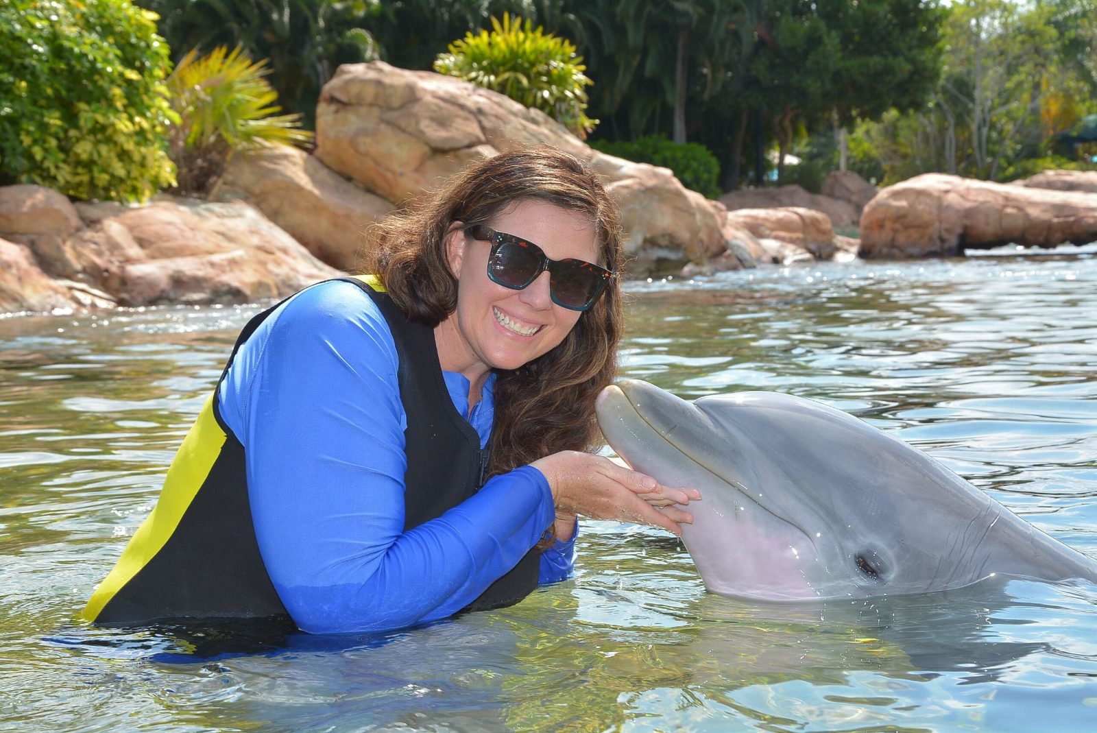 Swim With Dolphins St Thomas