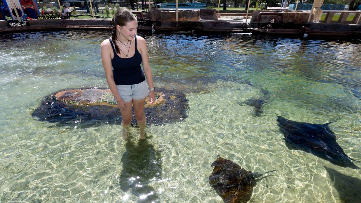 Stingray Lagoon