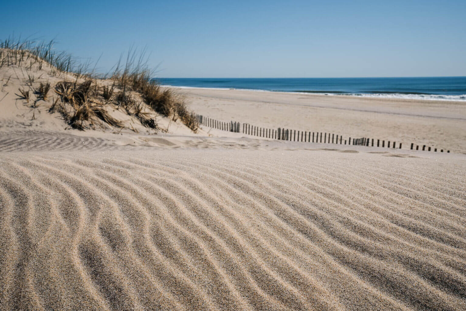 Cooper's Beach Dune Path