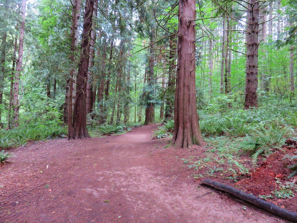 Cedar Grove Trailhead