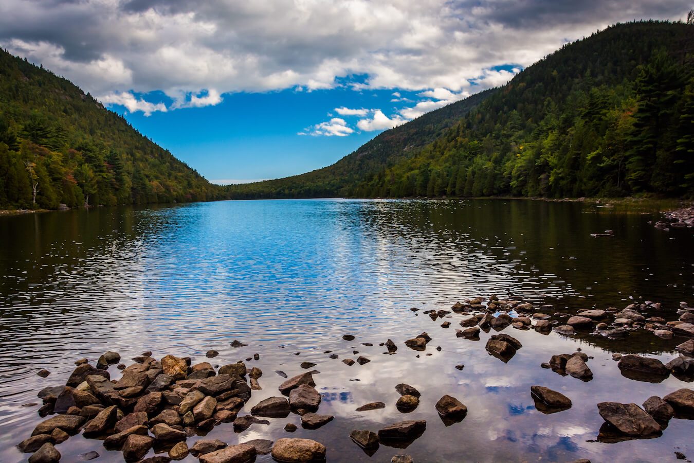 Bubble Pond Shoreline