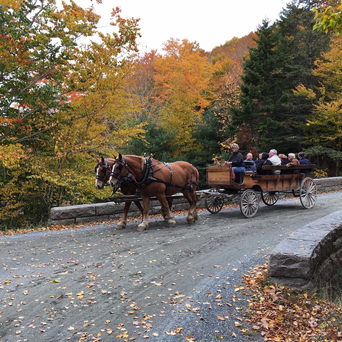 Day Mountain Carriage Road