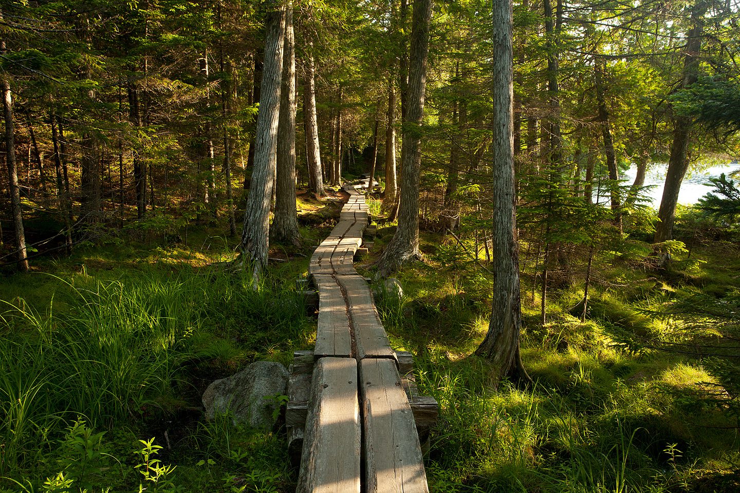 Jordan Pond North Shore