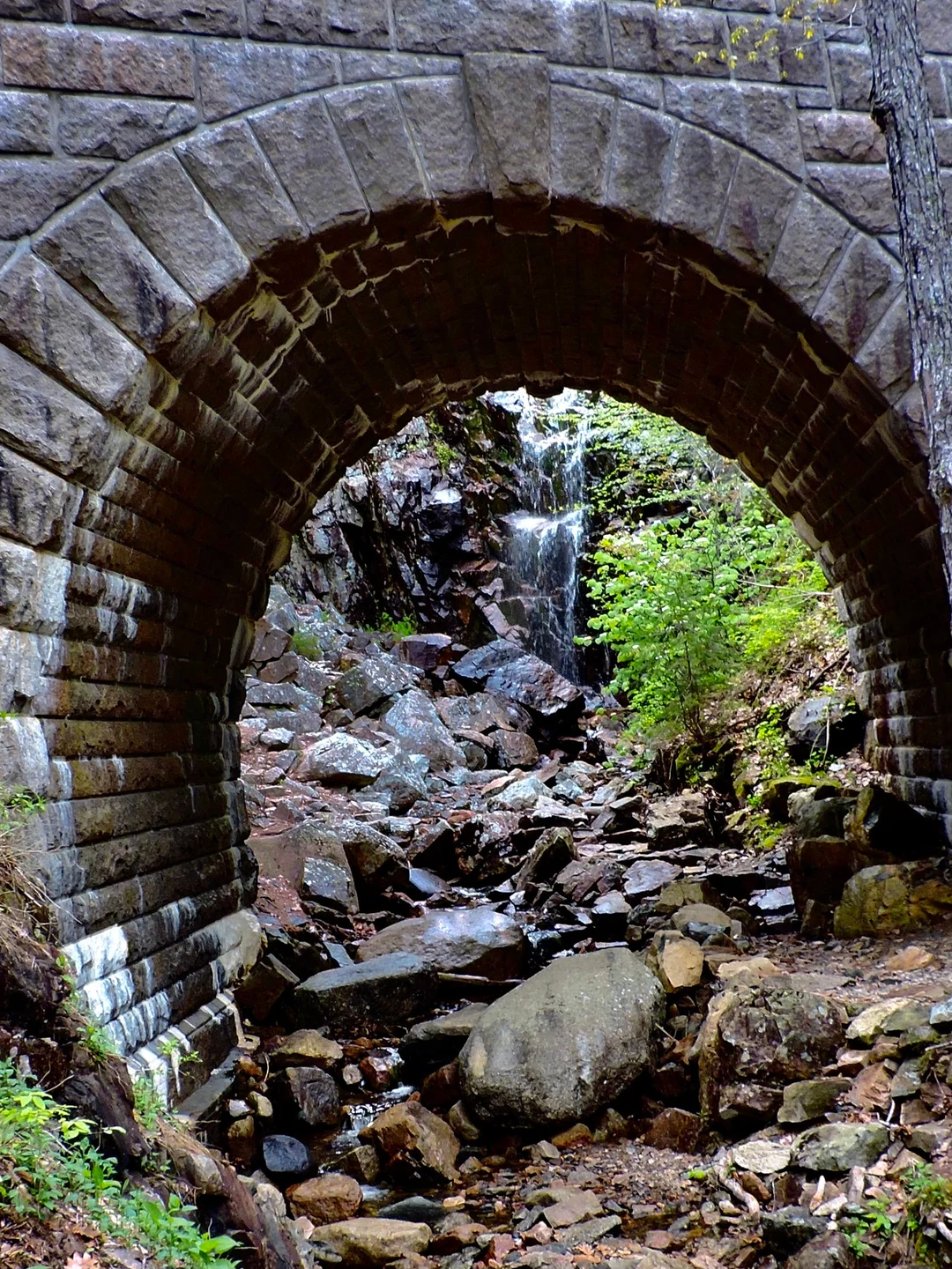 Waterfall Bridge