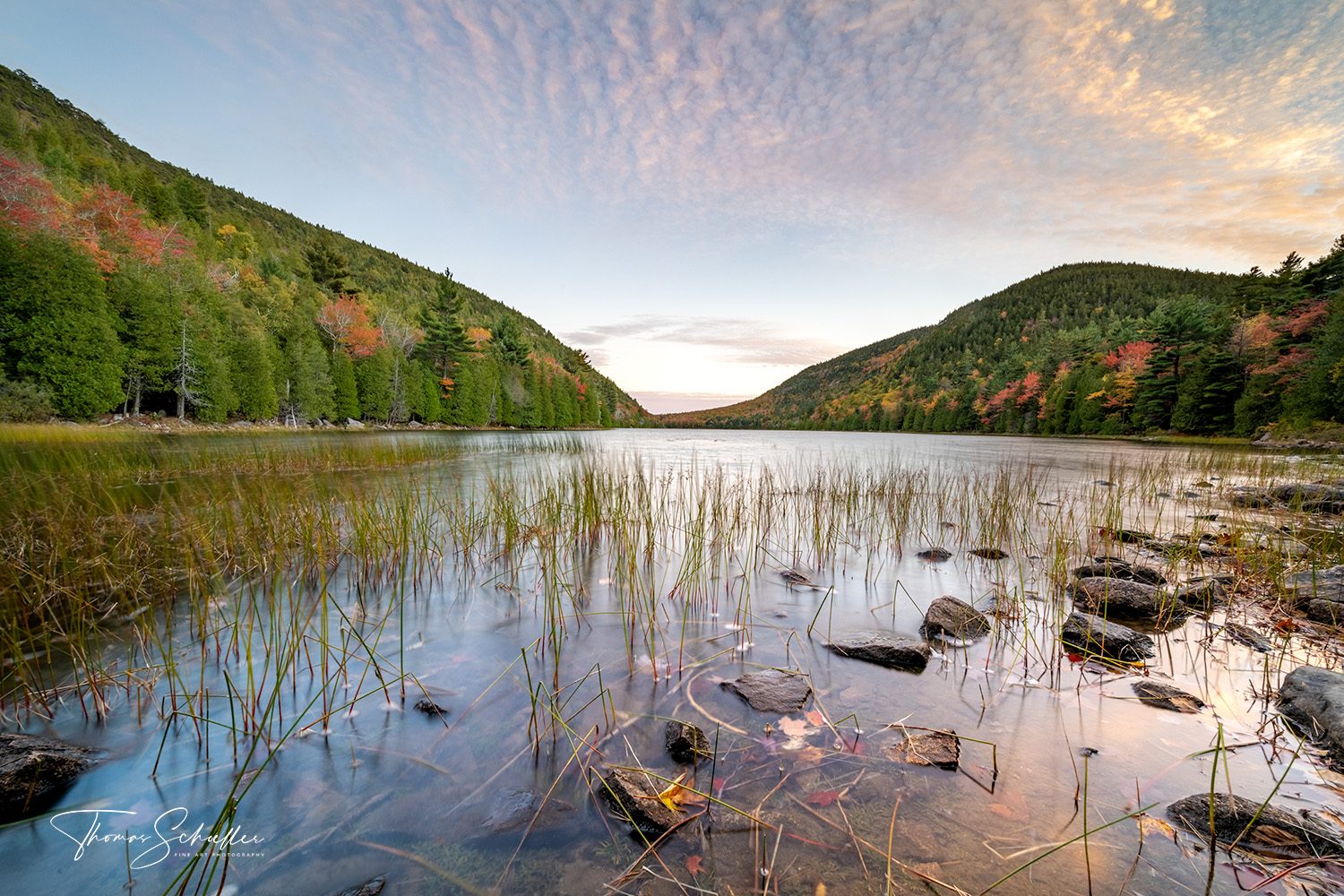 Bubble Pond Overlook