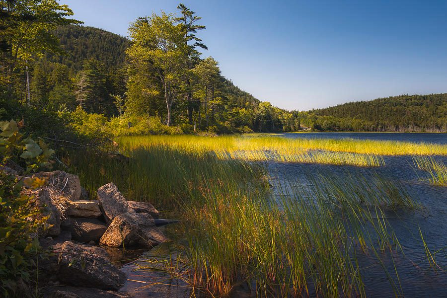 Hadlock Pond