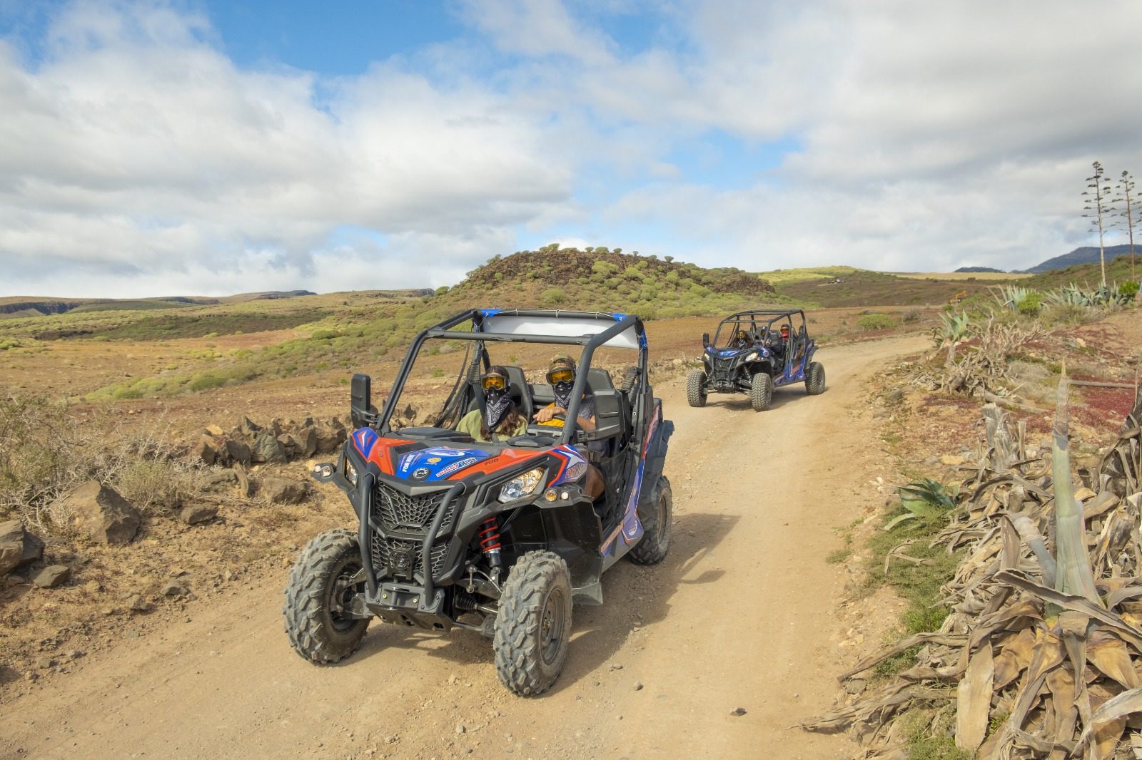 Maspalomas Dunes Buggy Tour