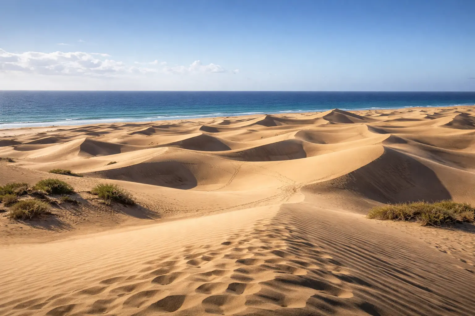 Playa de Maspalomas Shoreline