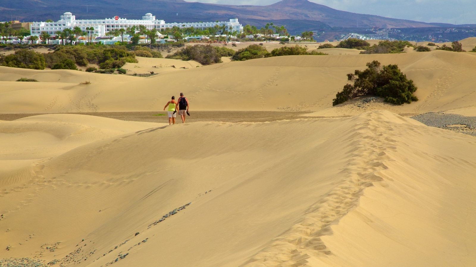 Coastal Trails