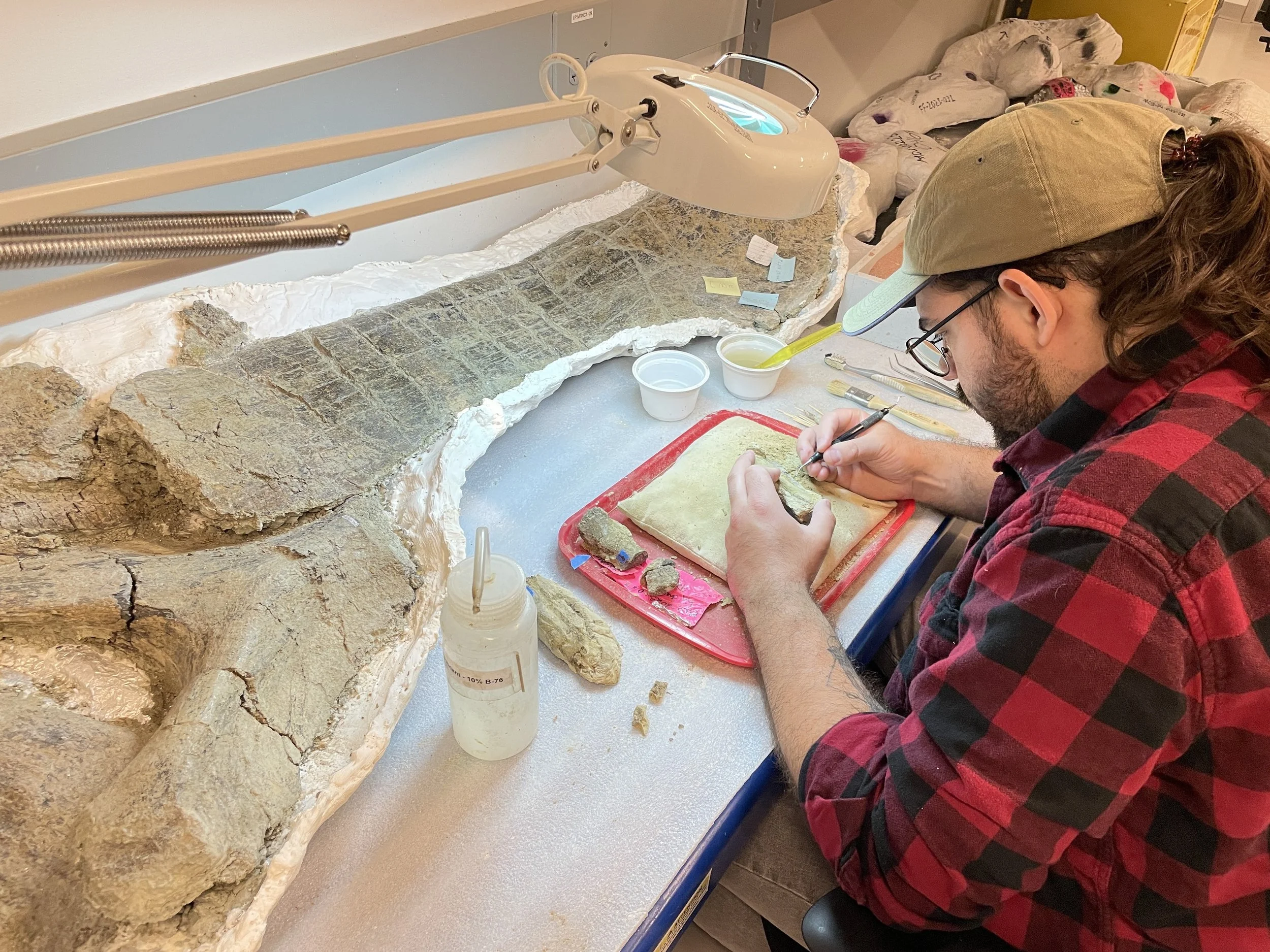 Fossil Preparation Lab