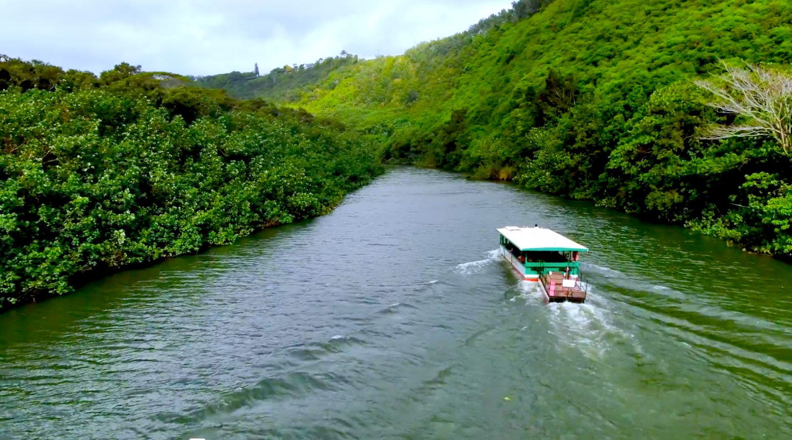 Waimea Canyon Wailua River & Fern Grotto Tour