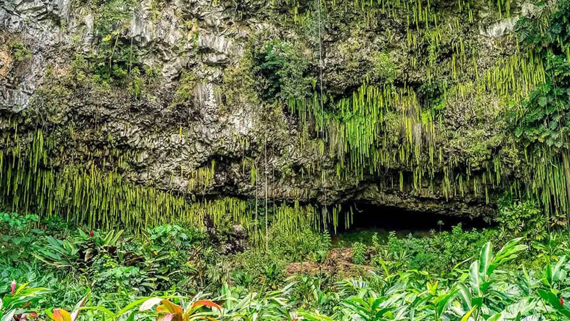 Fern Grotto