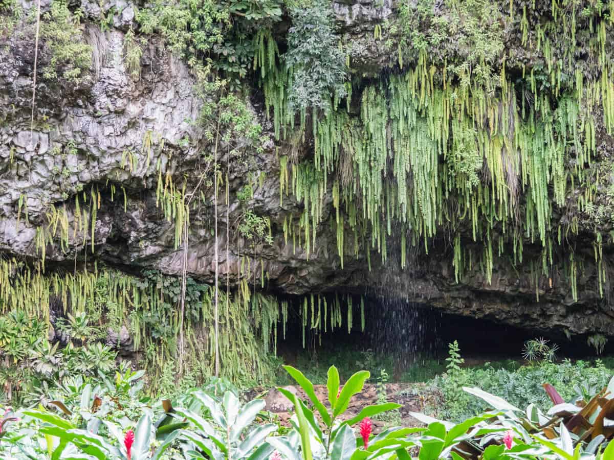 Fern Grotto