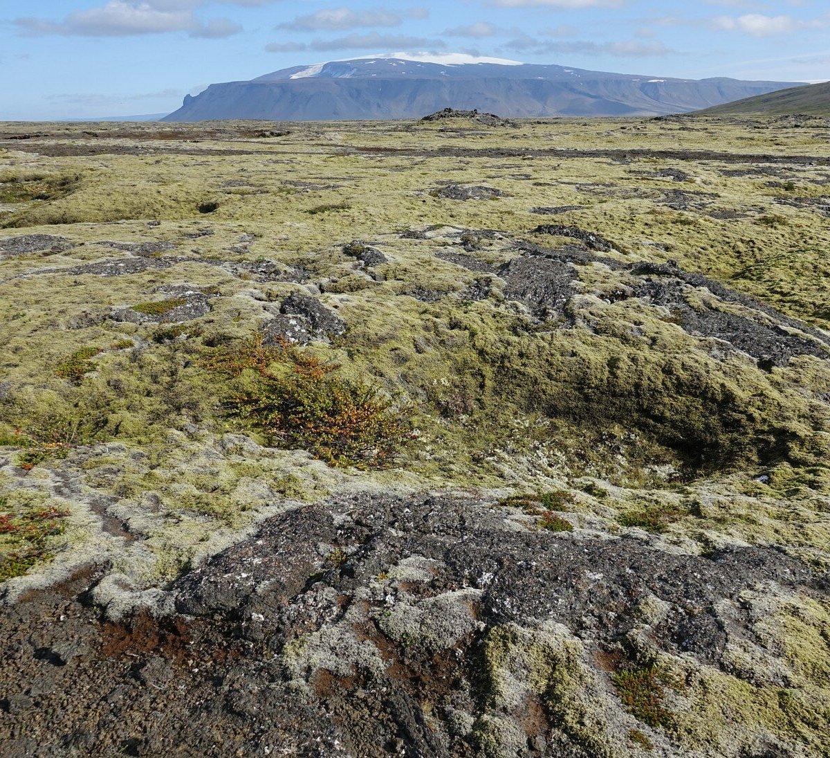 Hallmundarhraun Lava Fields