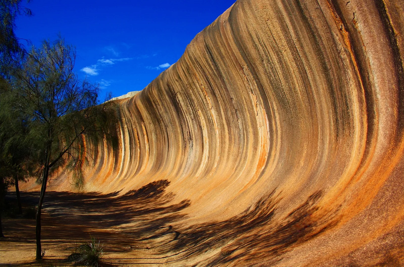 The Wave Crest
