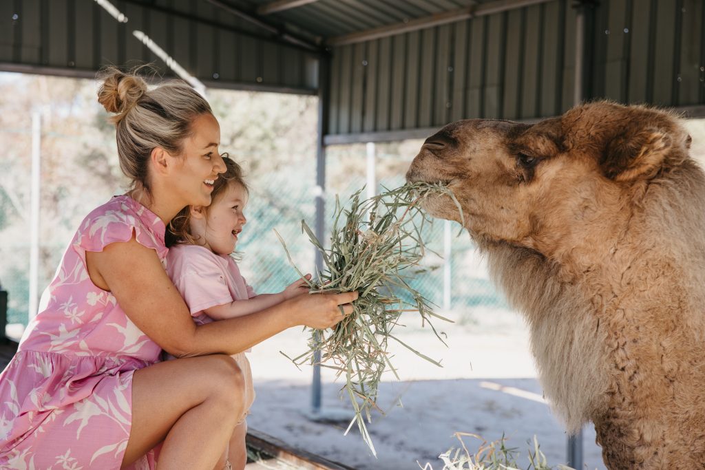 Wave Rock Wildlife Park
