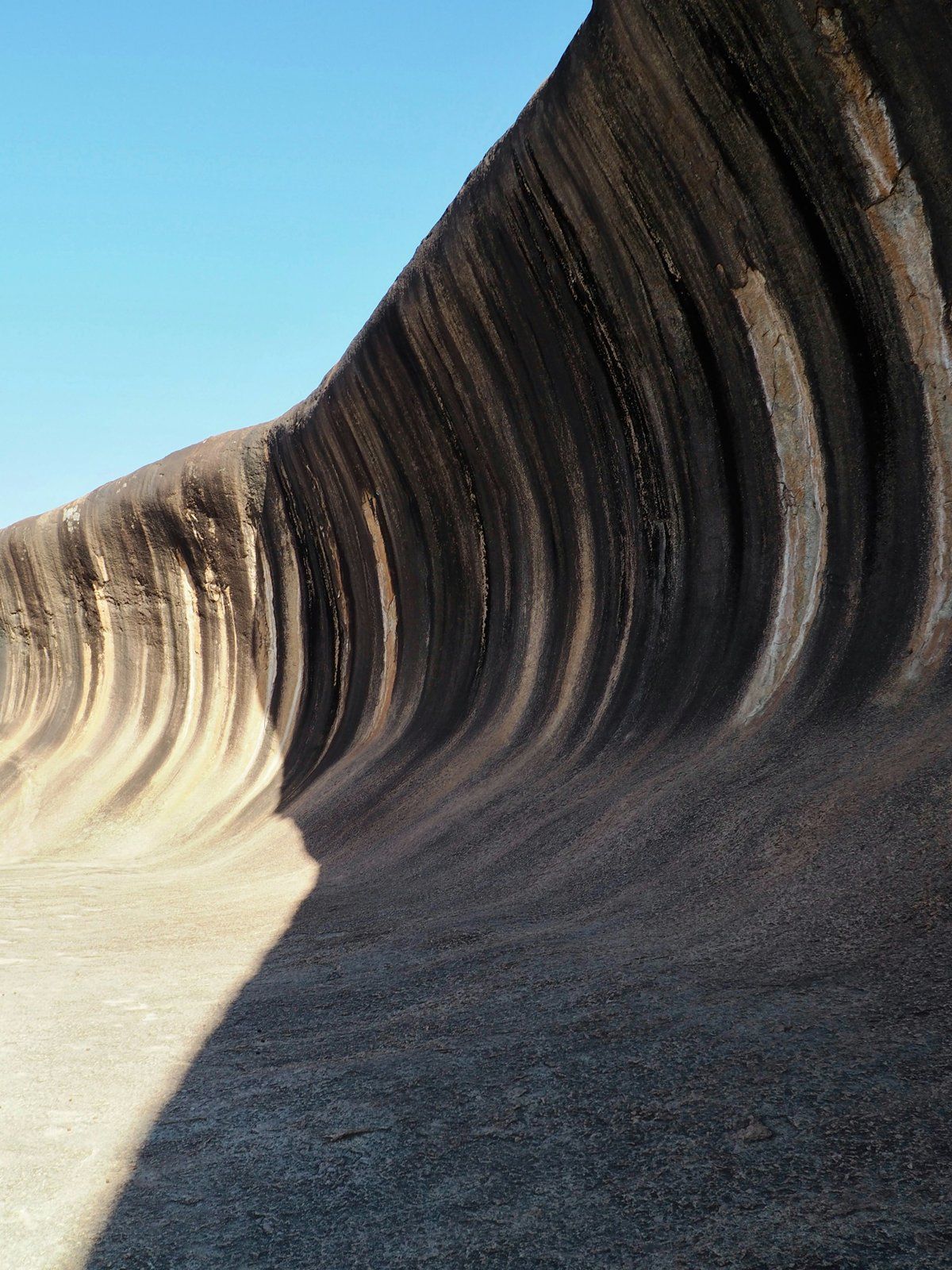 The Base Curve