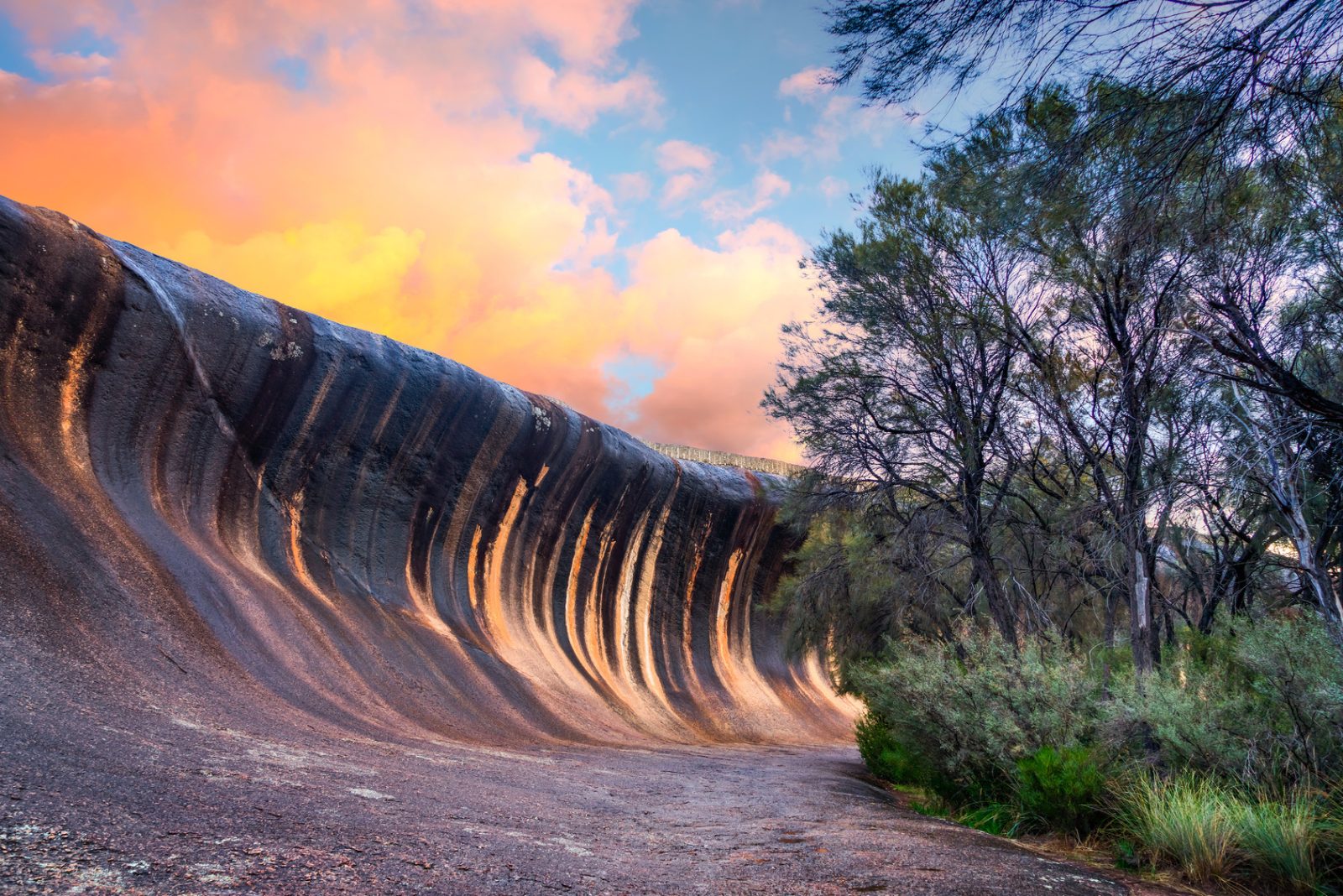 The Wave Crest Profile