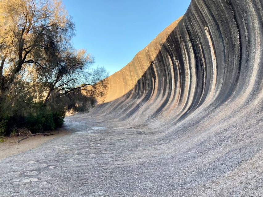 Day Tours From Perth to Wave Rock