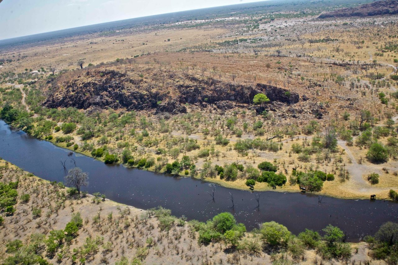 Savuti Channel